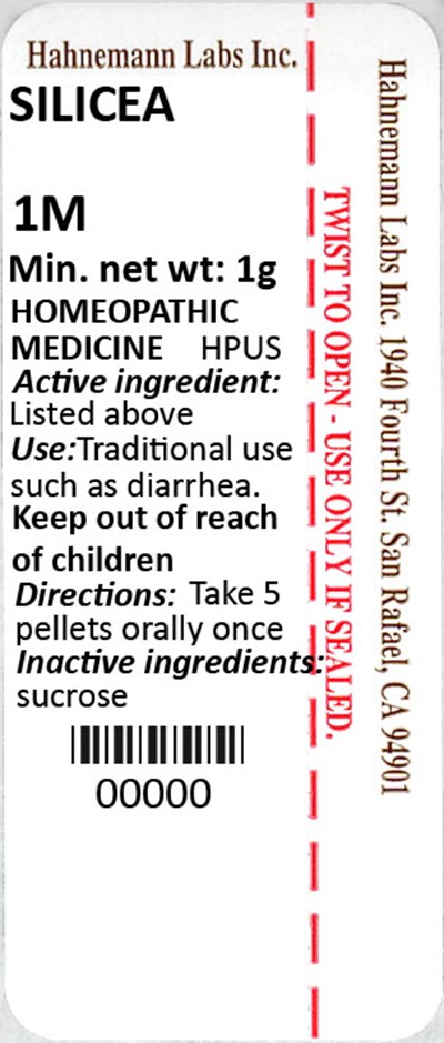 Silicea 1M 1g - Silicea 1M 1g